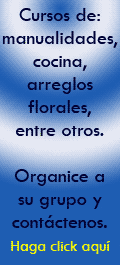 ¿No sabe cómo hacer X ó Y? Organice a un grupo de personas cercanas a usted y comparta unas clases de cocina, arreglos florales, manualidades, entre otros. Teléfono: 2441-2411